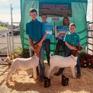 Meet your Posher, Tracy